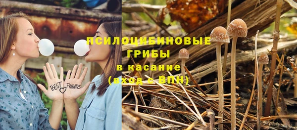 прущая мука Елабуга