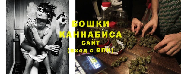стафф Заволжье