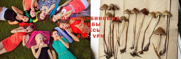а пвп мука Заводоуковск